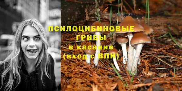 первитин Пересвет