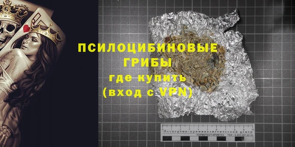PSILOCYBIN Переславль-Залесский