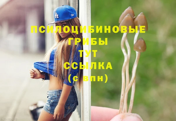 PSILOCYBIN Переславль-Залесский