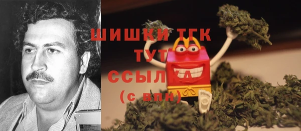 PSILOCYBIN Переславль-Залесский
