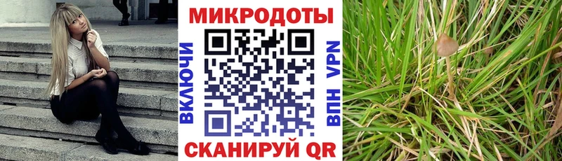 Галлюциногенные грибы Magic Shrooms  где купить наркоту  darknet наркотические препараты  Белая Холуница  mega рабочий сайт 